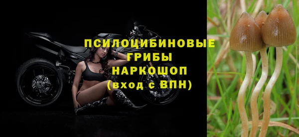 амф Алексеевка