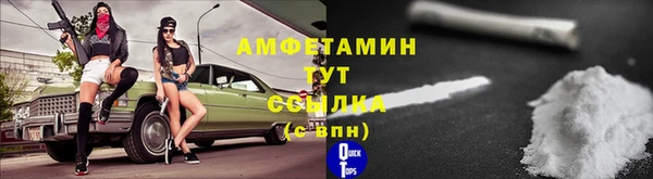 шишки Алексин