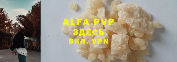 ECSTASY Алзамай