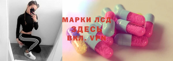 ECSTASY Алзамай