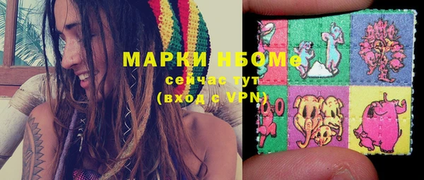 ECSTASY Алзамай