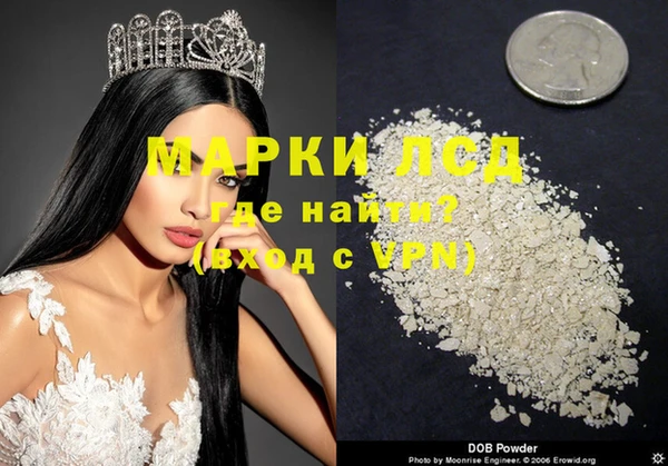 ECSTASY Алзамай